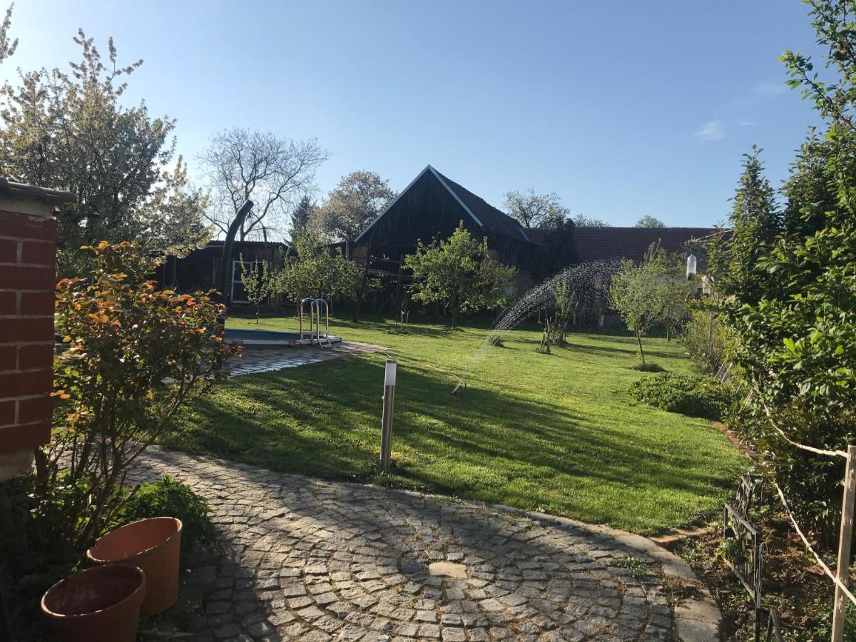 Helle, Offene Dachgeschosswohnung Mit Terrasse Oberloisdorf Exterior photo